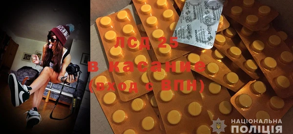 эйфоретик Аркадак