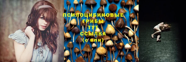 метадон Армянск