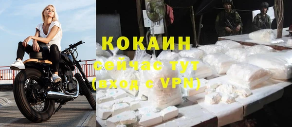 мет Ладушкин